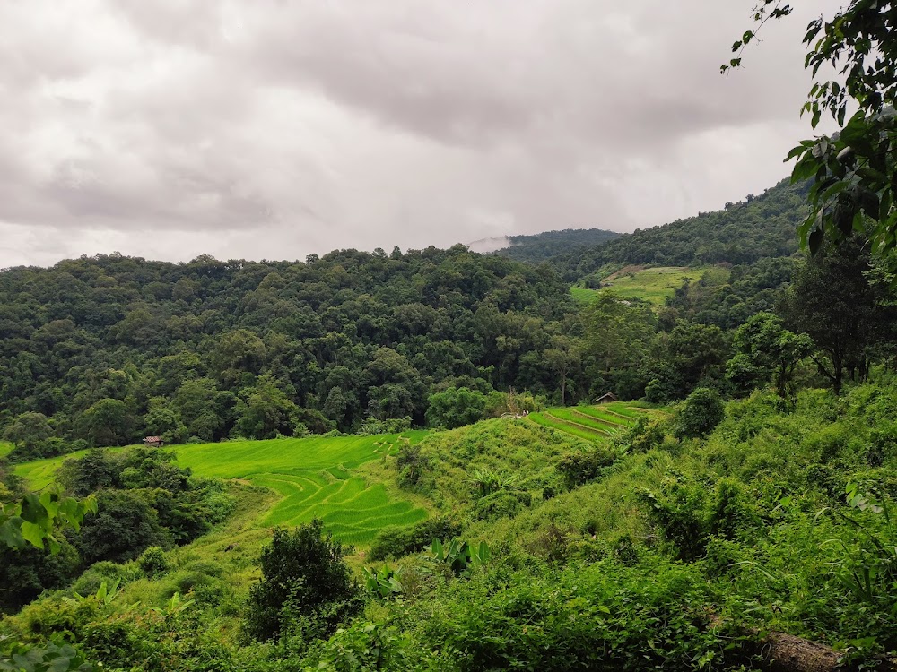 Inthanon Heaven Trail