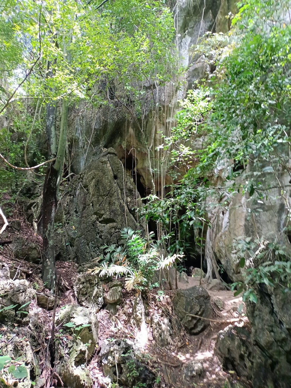 Khao Khanap Nam Cave
