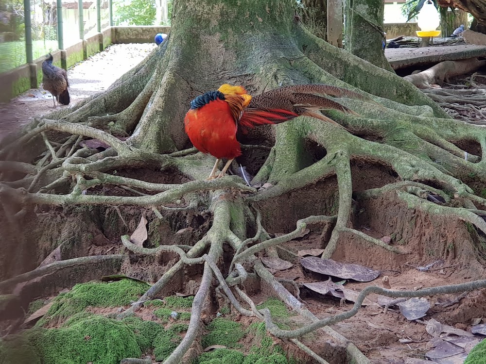 Khao Kho Zoo