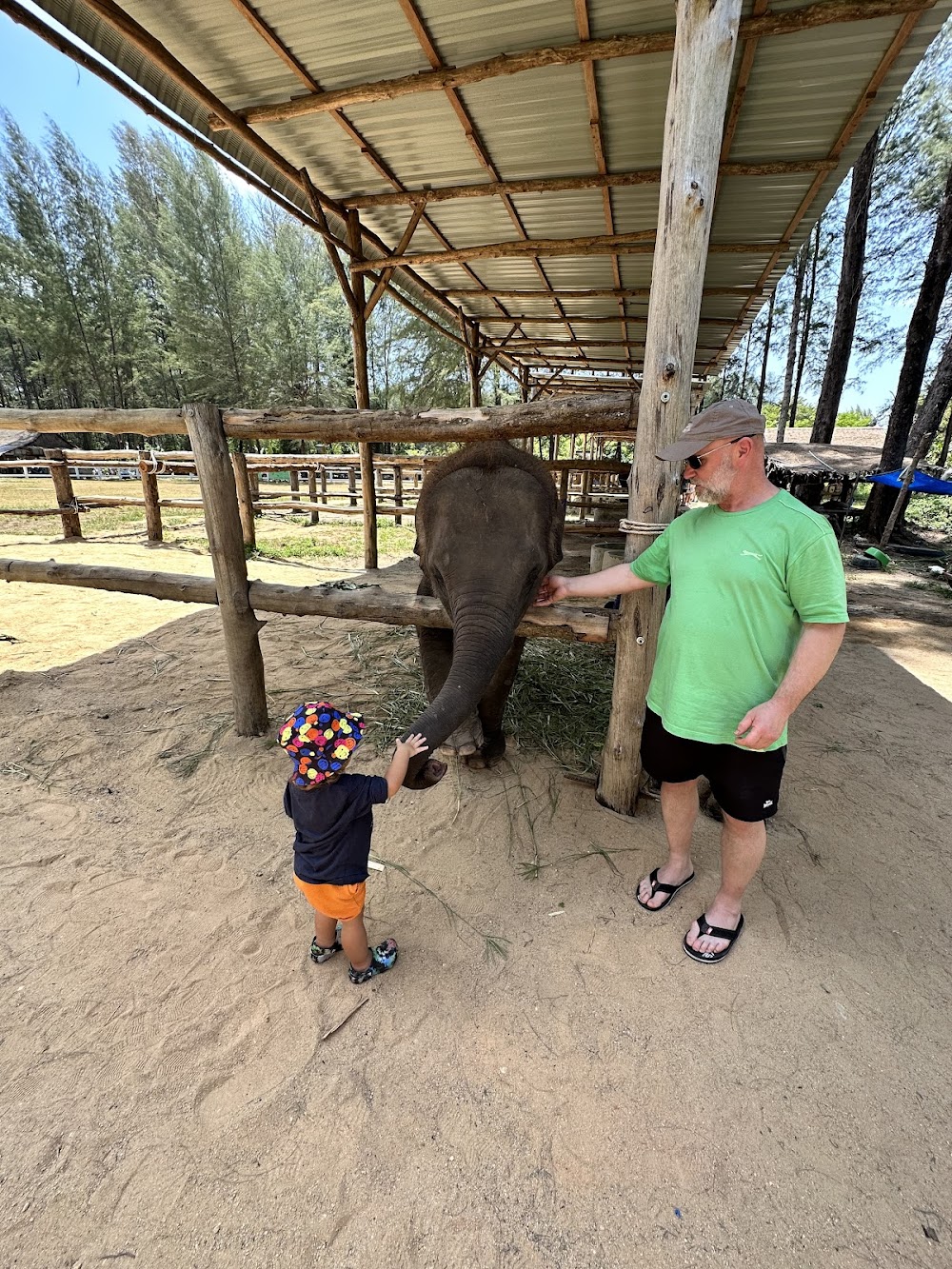 Khao Lak Elephant Home