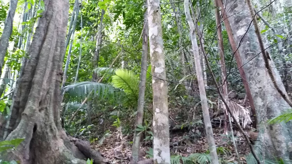 Khao Phra Thaeo National Park