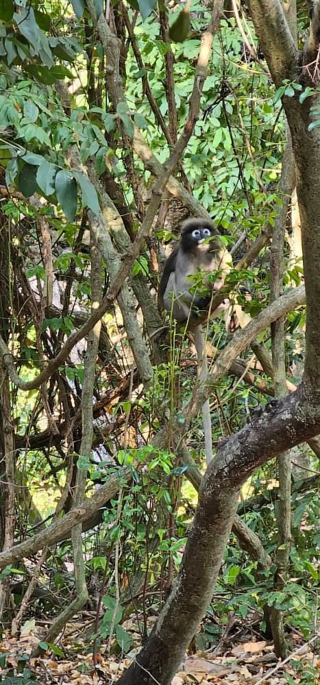 Khao Sam Roi Yot National Park