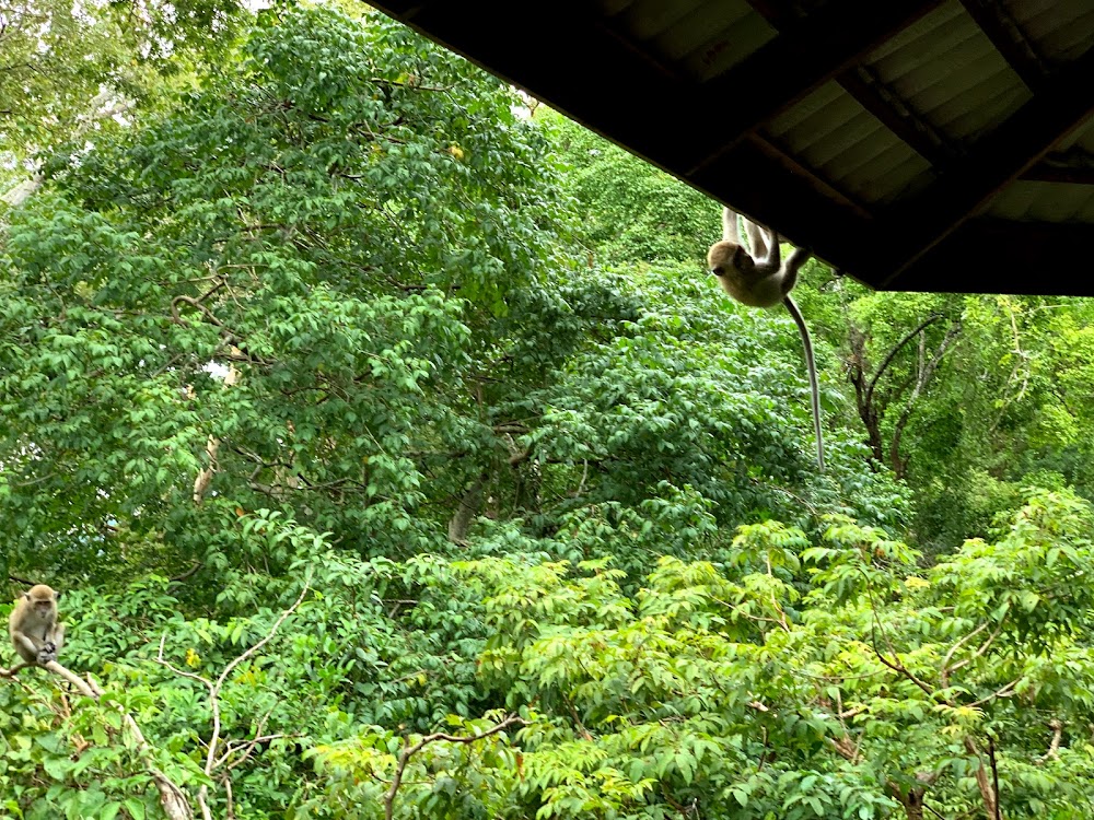 Khao To Phaya Wang Park