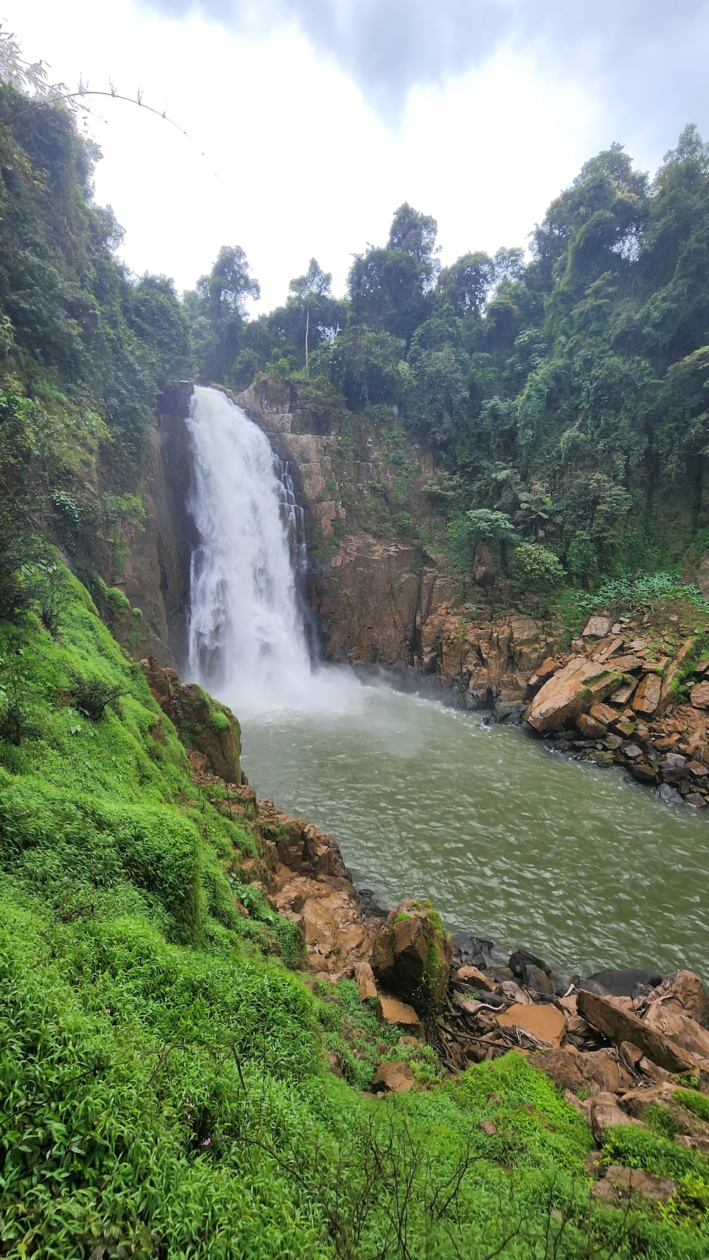 Khoa Yai and Beyond
