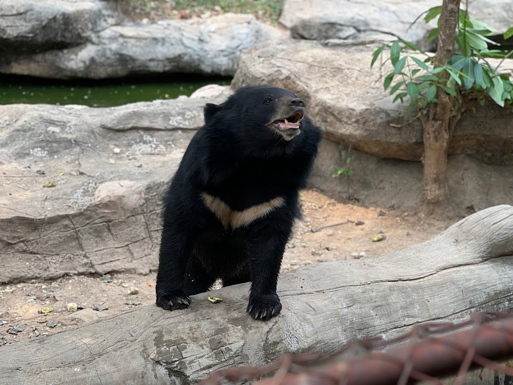 Khonkaen Zoo