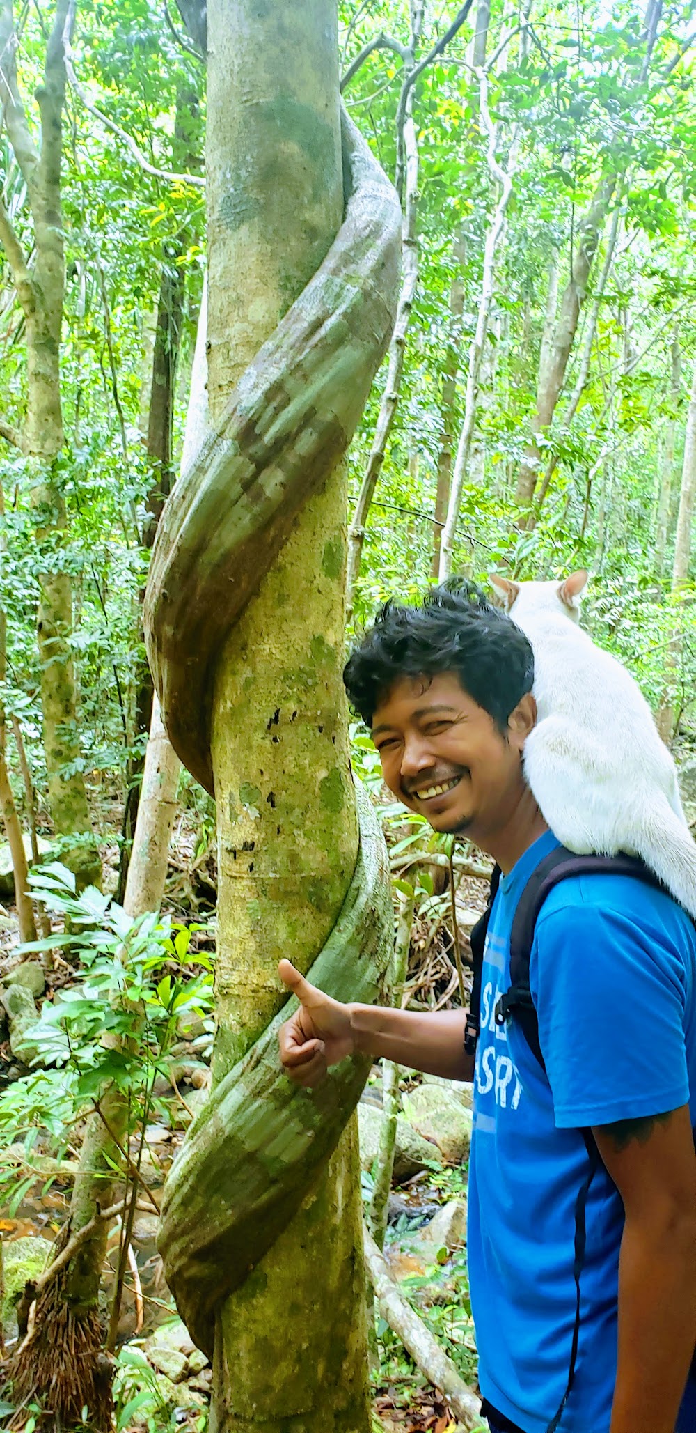 Kohphangan Trekking Tour