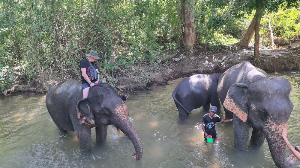 Krabi​ Elephant​ Heaven