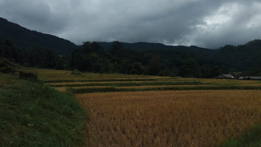 Mae Khlang Luang Village stay
