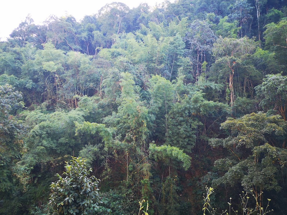 Mae Moei National Park
