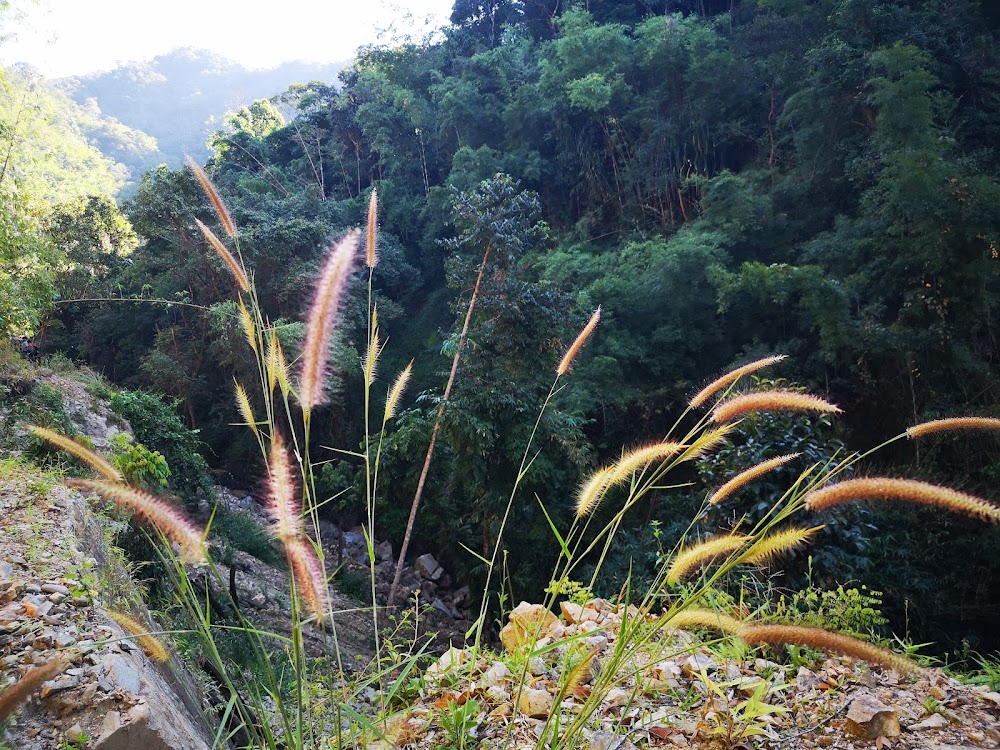 Mae Moei National Park