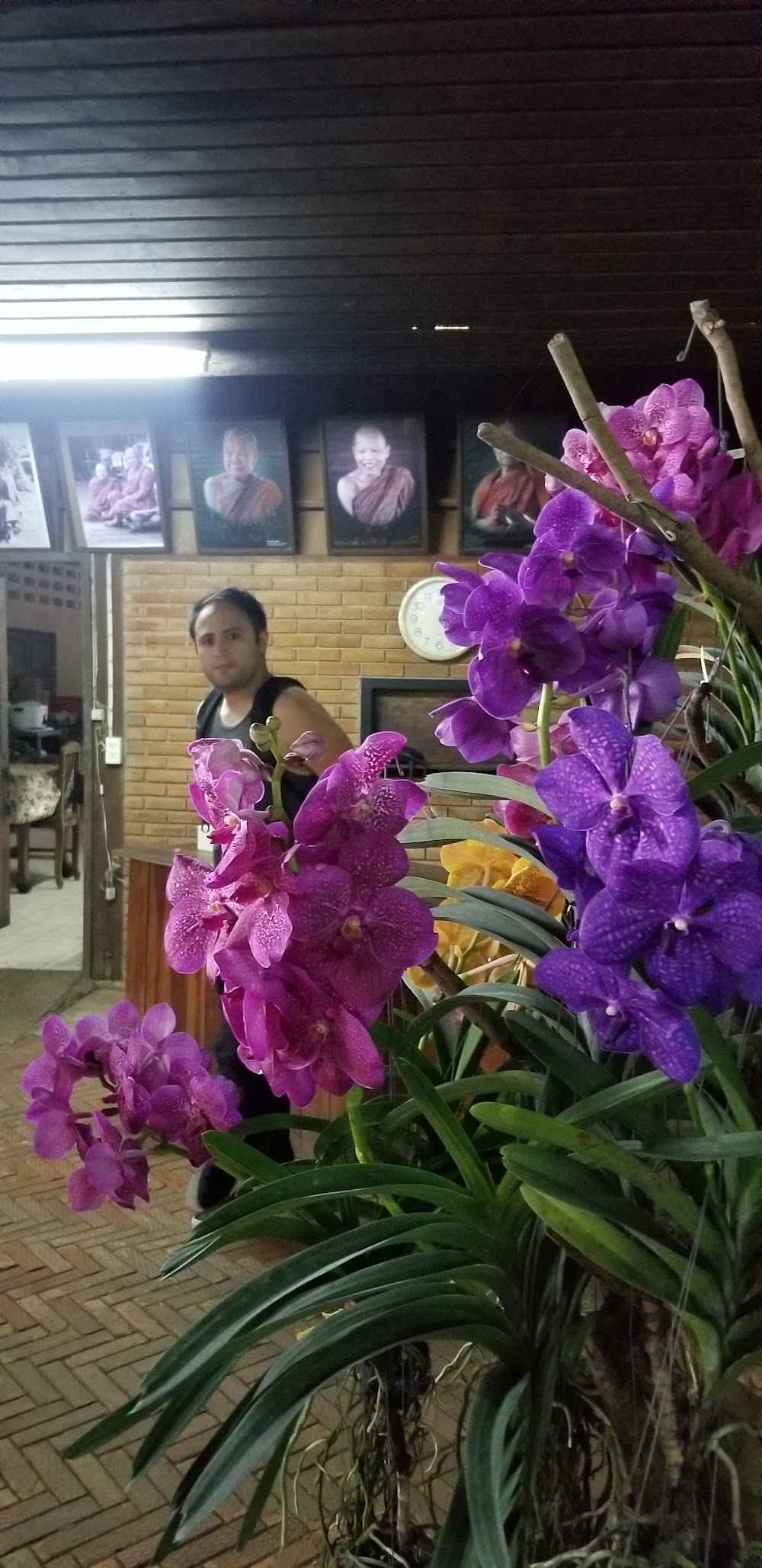 Mae Ram Orchid
