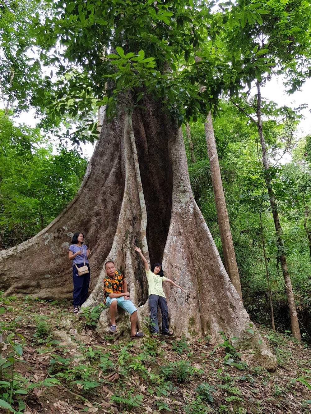 Mae Yom National Park