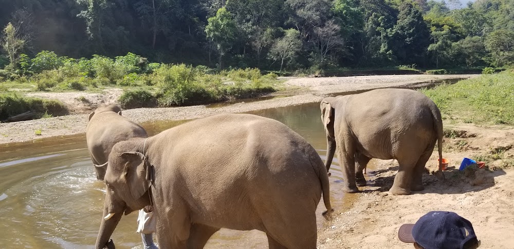 Mayrin Elephant Family Camp