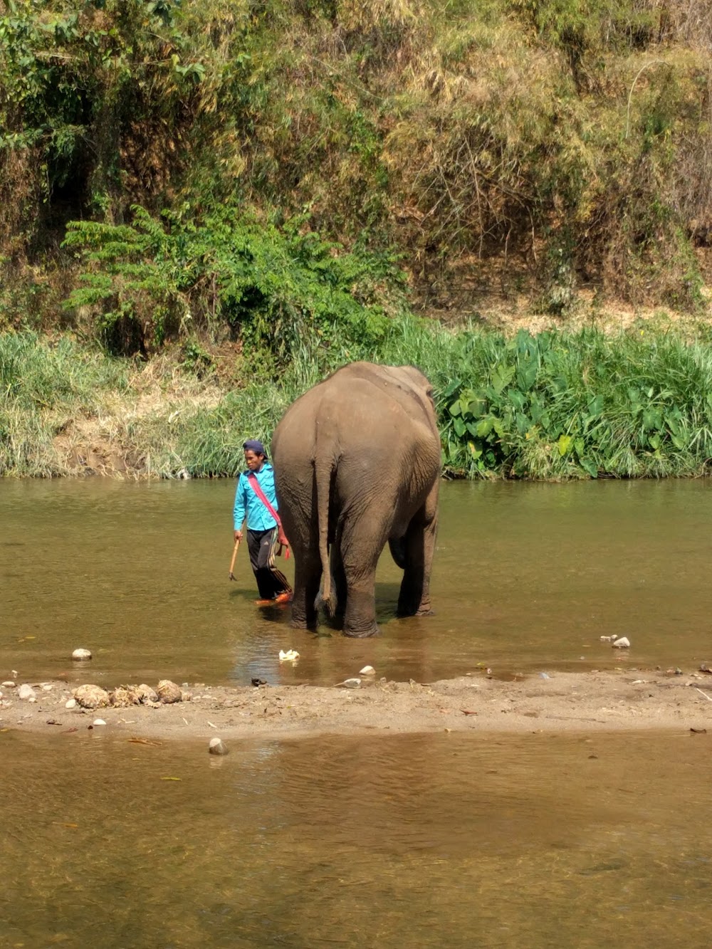 Mayrin Elephant Family Camp