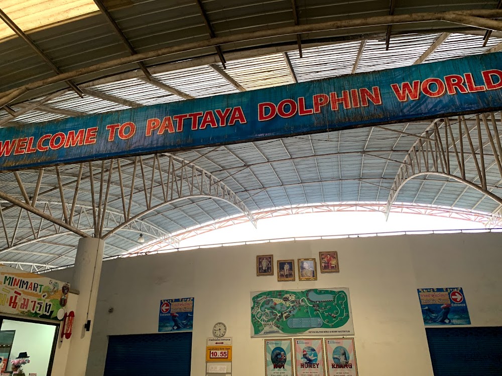 Pattaya Dolphin World