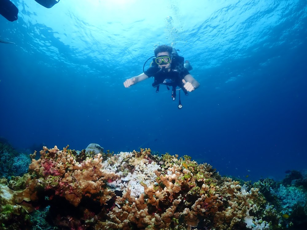 Phuket Dive Center