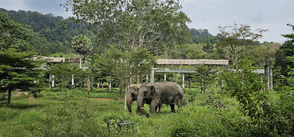 Phuket Elephant Sanctuary