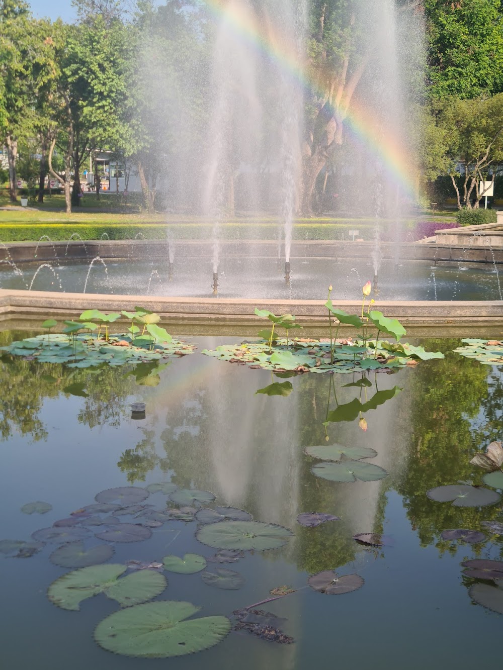 Princess Maha Chakri Sirindhorn Herb Garden