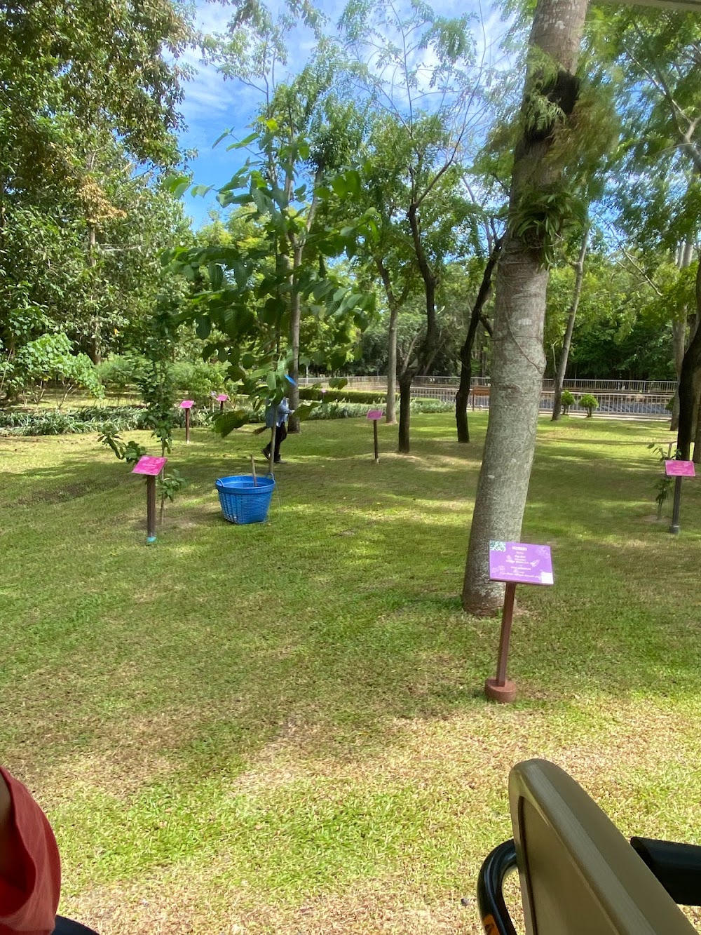 Princess Maha Chakri Sirindhorn Herb Garden