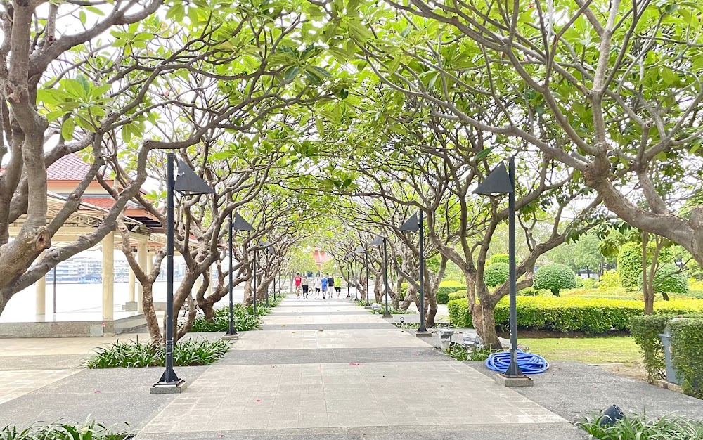 Rama VIII Park