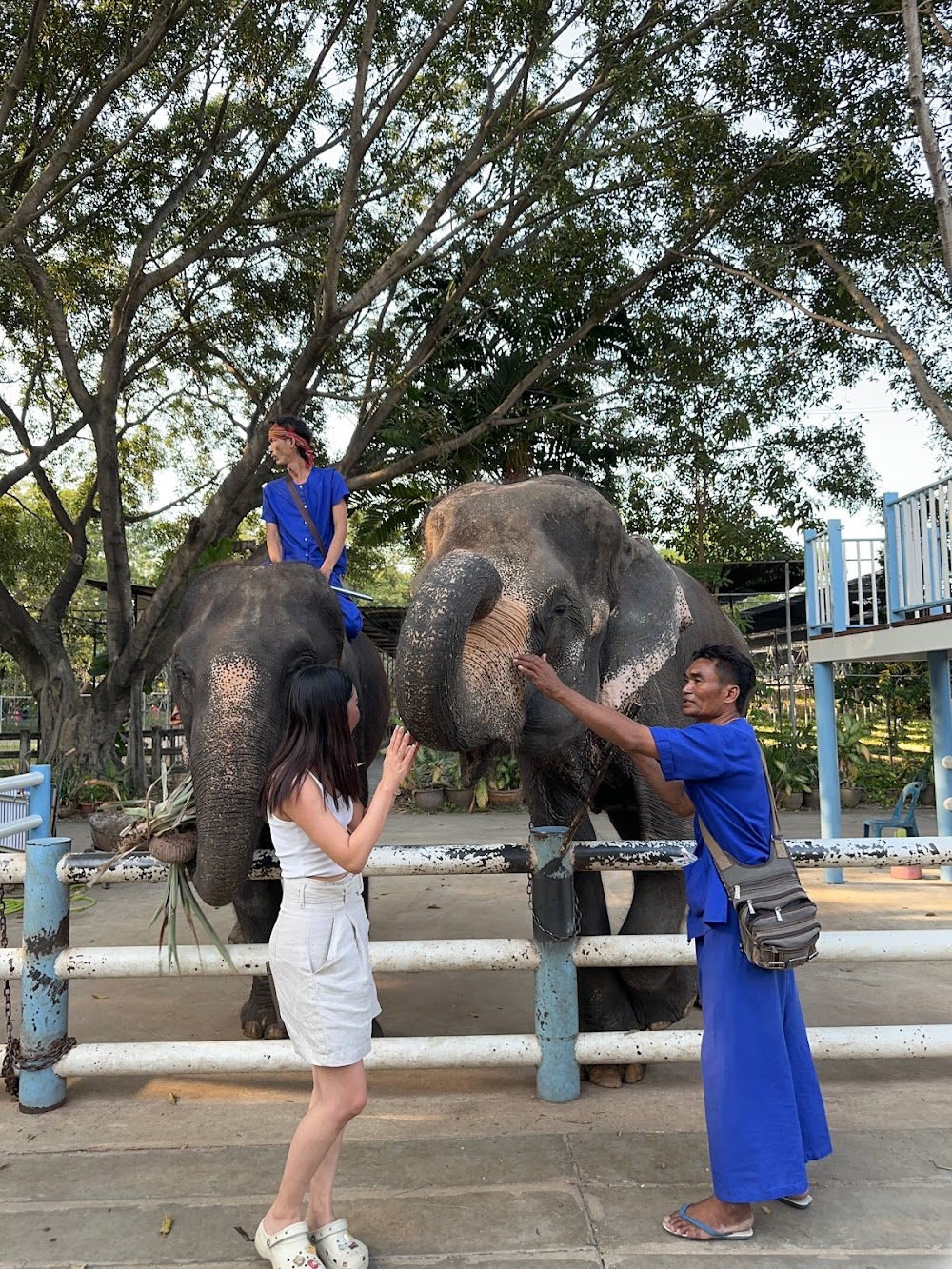 Samphran Elephant Ground & Zoo