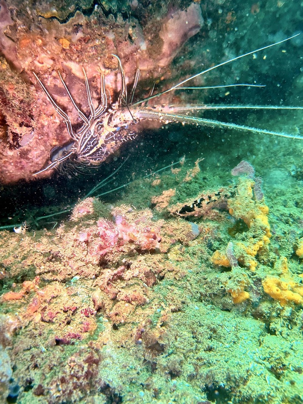 Sawasdee Divers Krabi