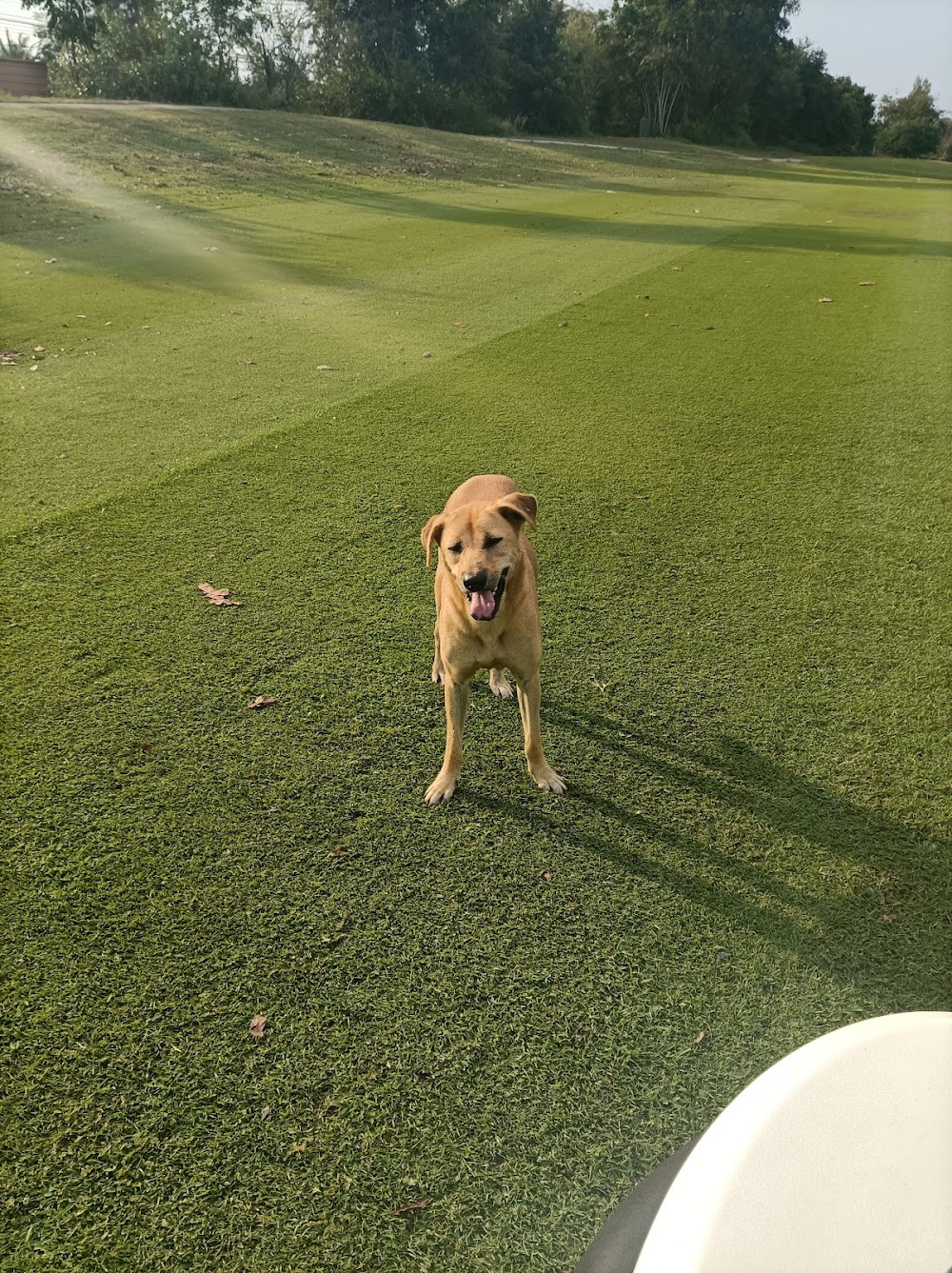 Sea Pines Golf Course