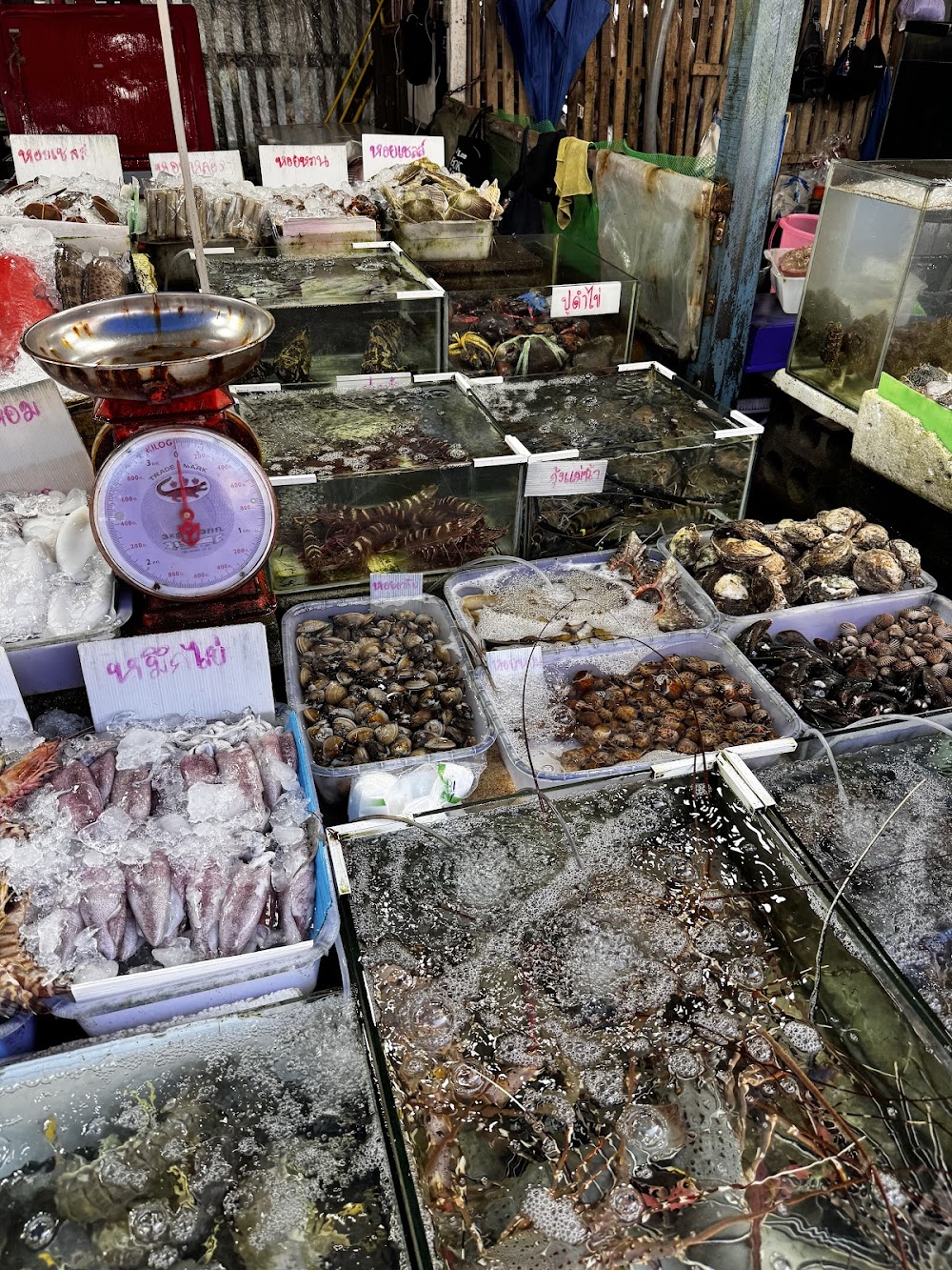 Seafood Market