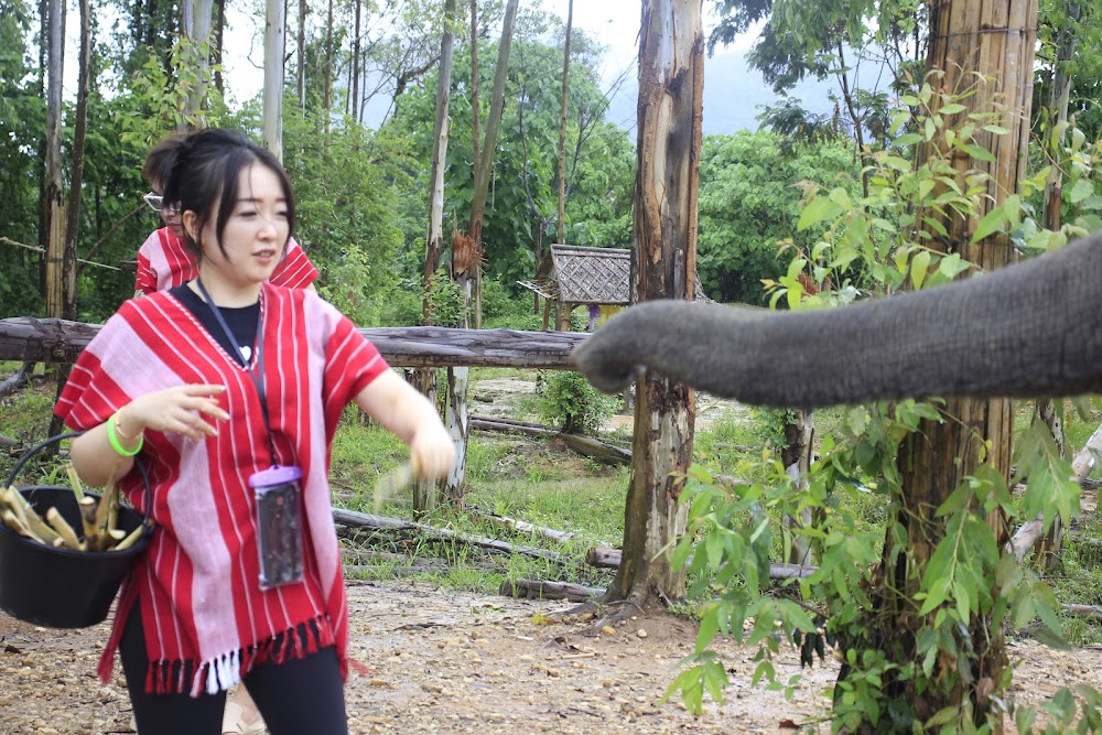 Seaview Elephant Camp