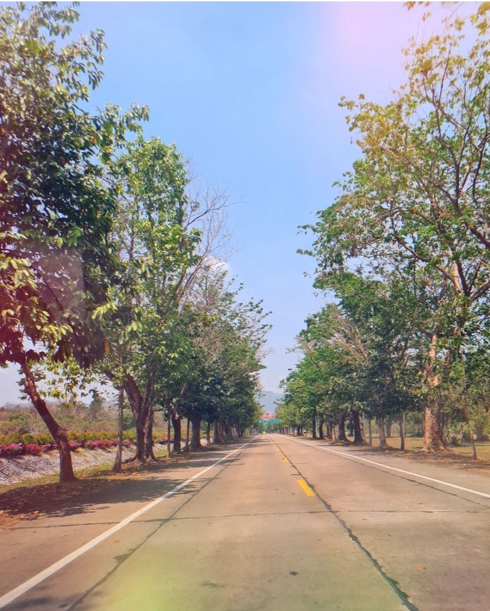 Shrine of Chao Pho Khun Dan