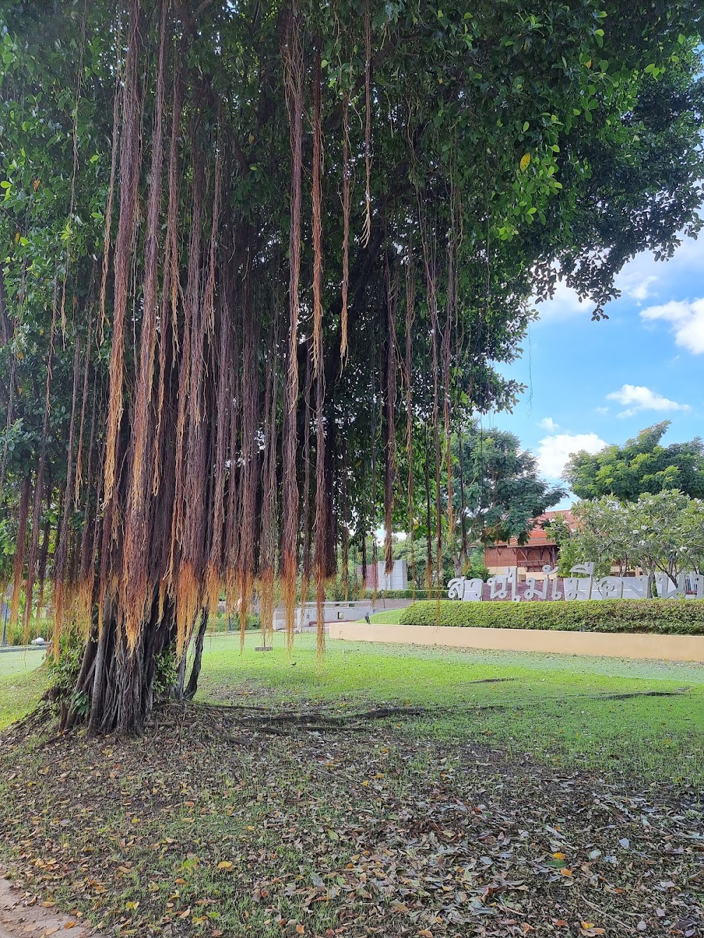 Somdet Phra Srinagarindra Park