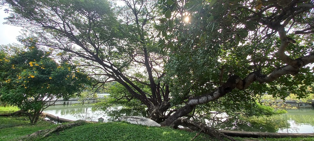 Somdet Phra Srinagarindra Park