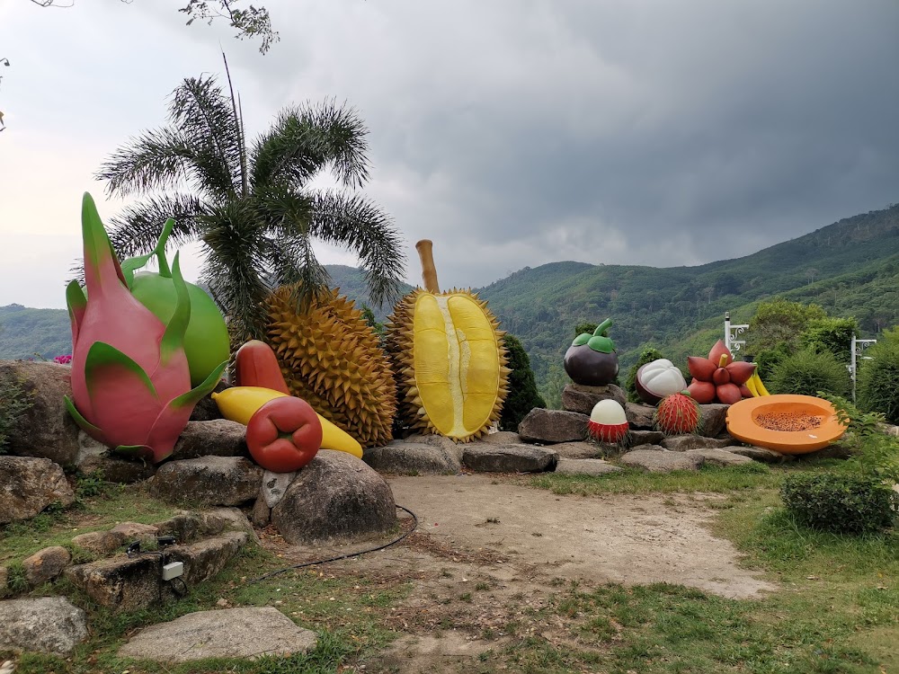 Suan Lamai
