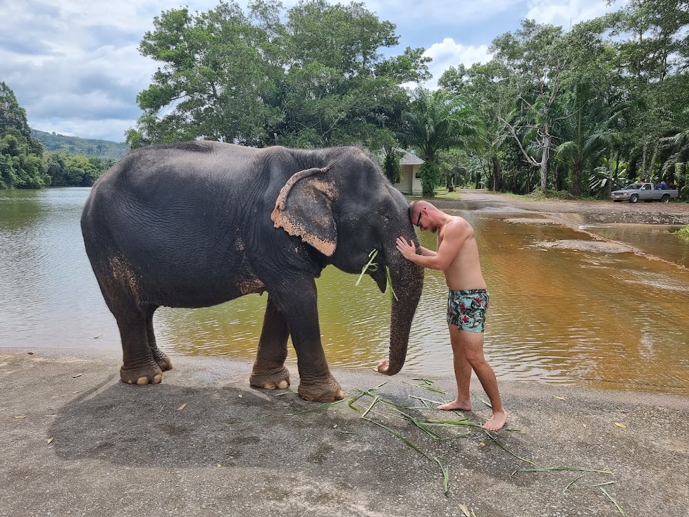 Supaporn Elephant Camp