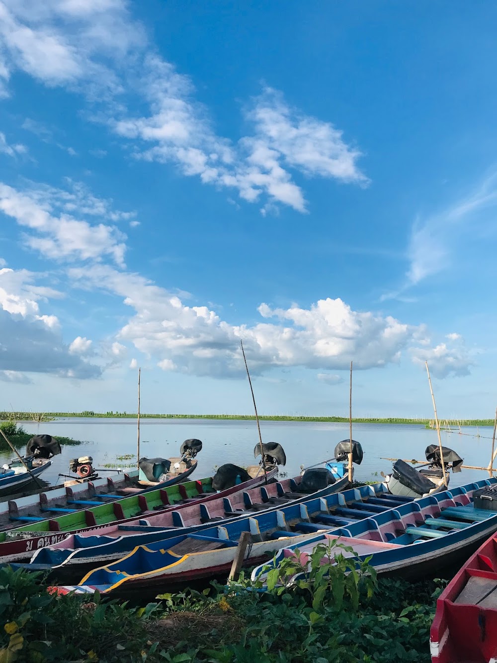 Thale Noi Waterfowl Park