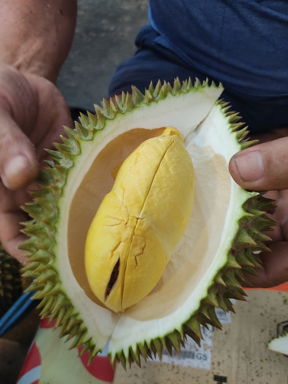 Thapong Fruit Market