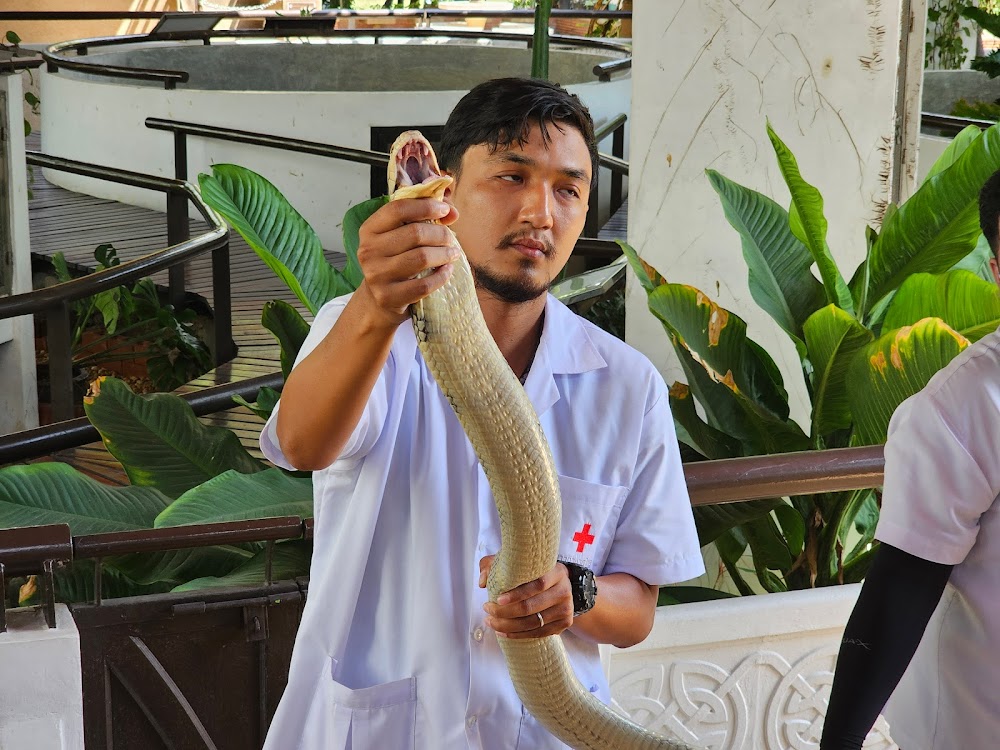 Thonburi Snake Farm