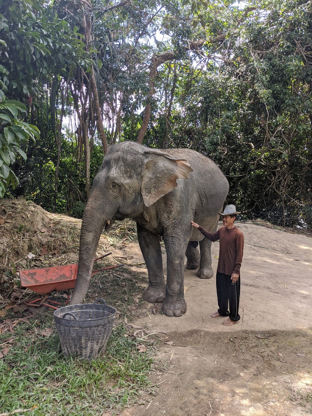 Tongdee Elephant Camp