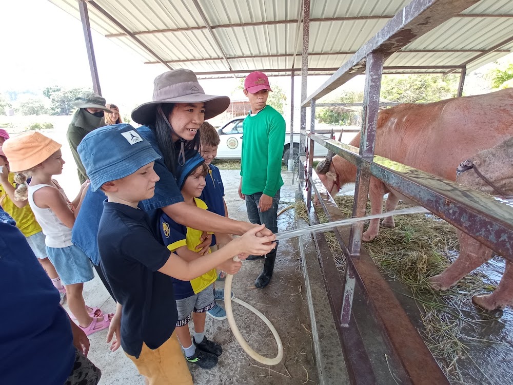 Vanich Farm
