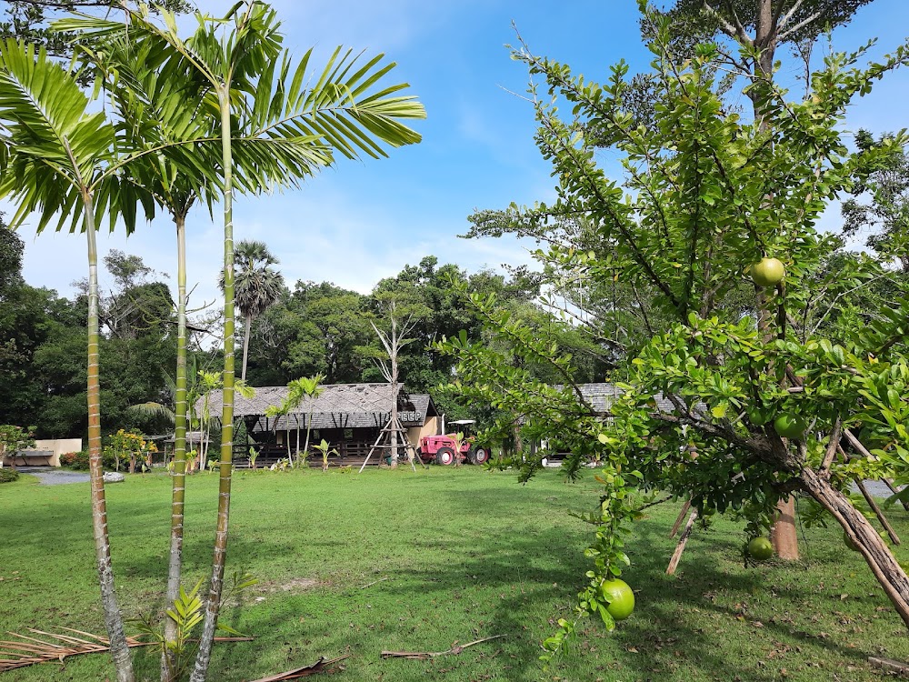 Vanich Farm