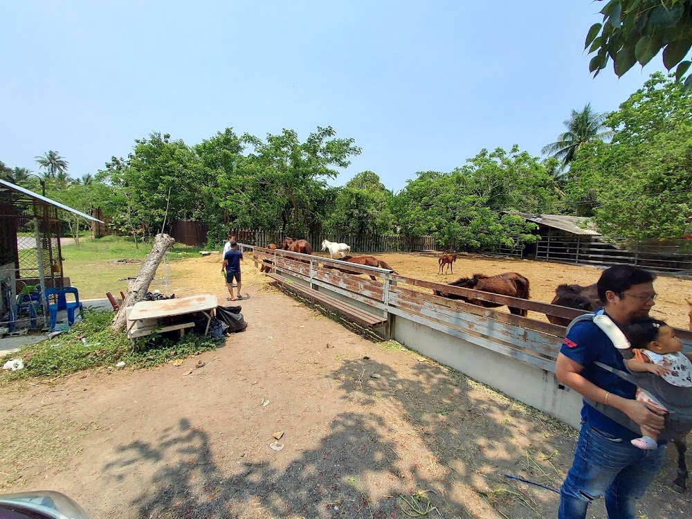 Wat Bang Kaphom