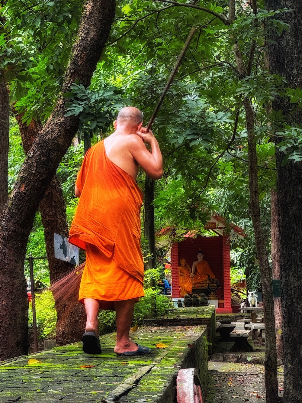 Wat Nam Mong