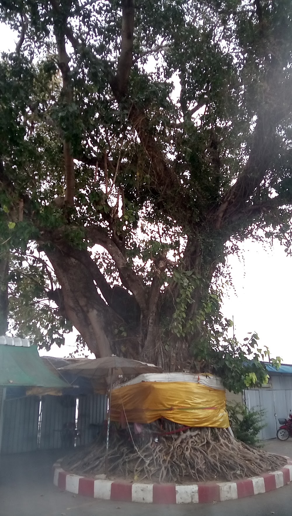 Wat Si Mongkhon Tai