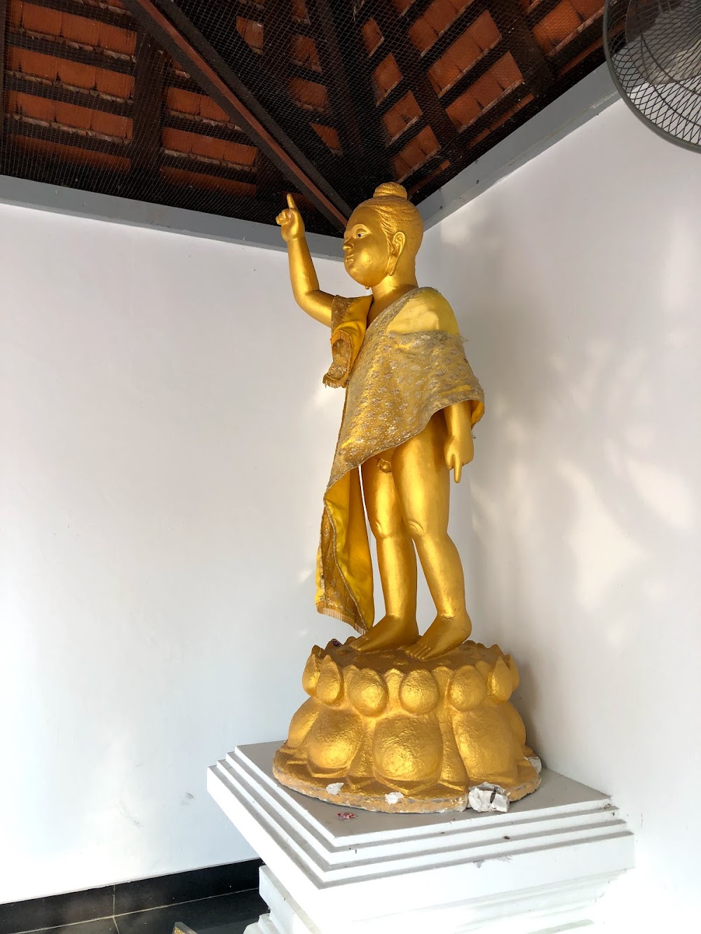 Watpa Pathomchai