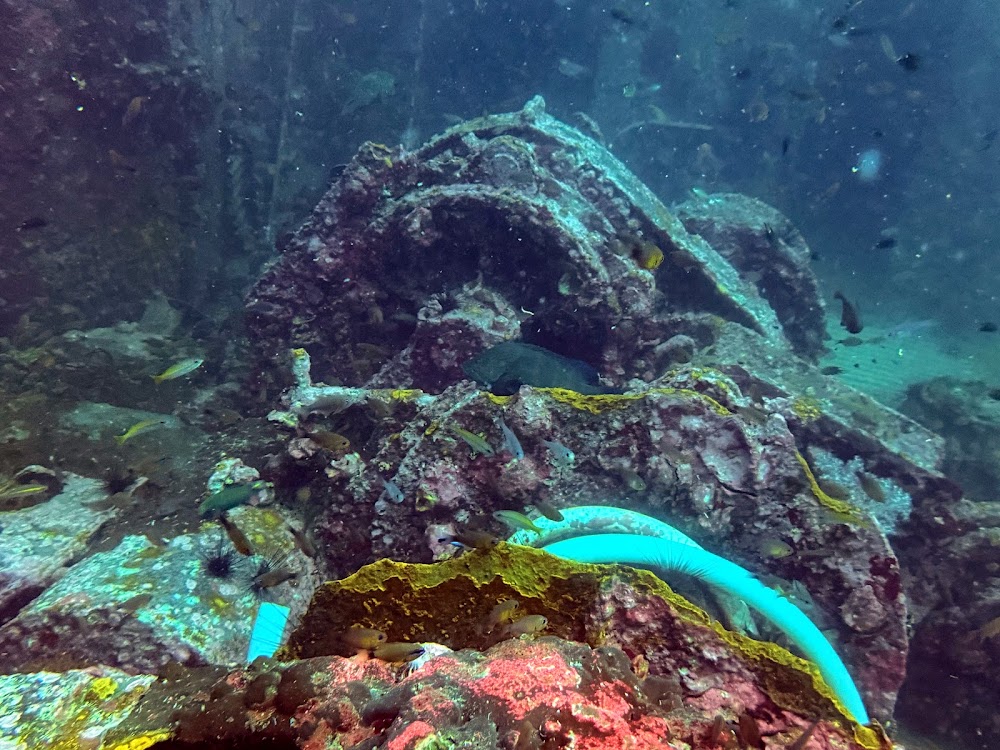Aloha Ocean Adventures