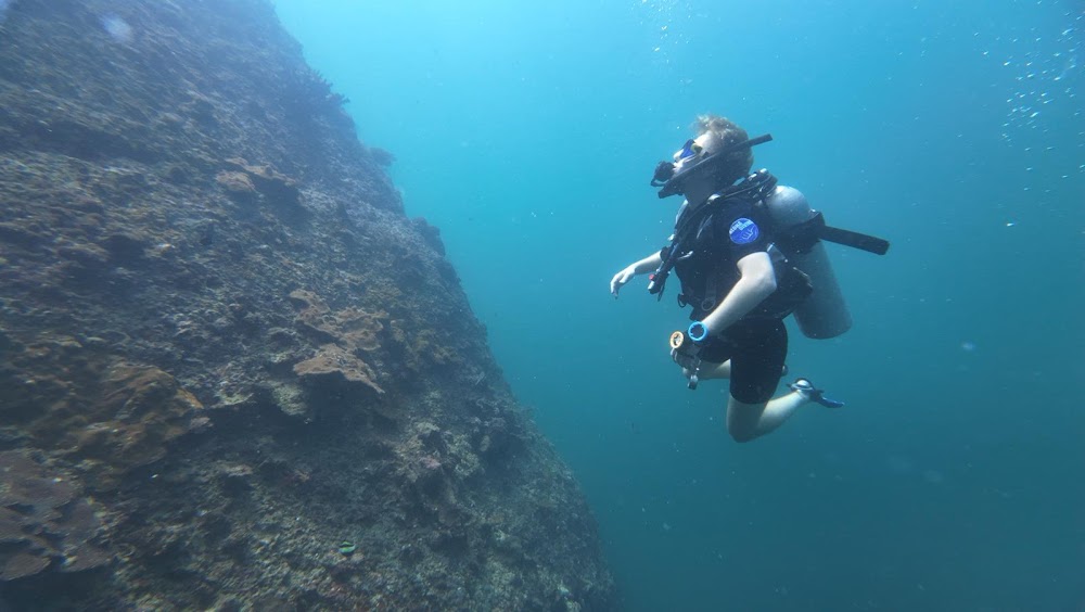 Aloha Ocean Adventures