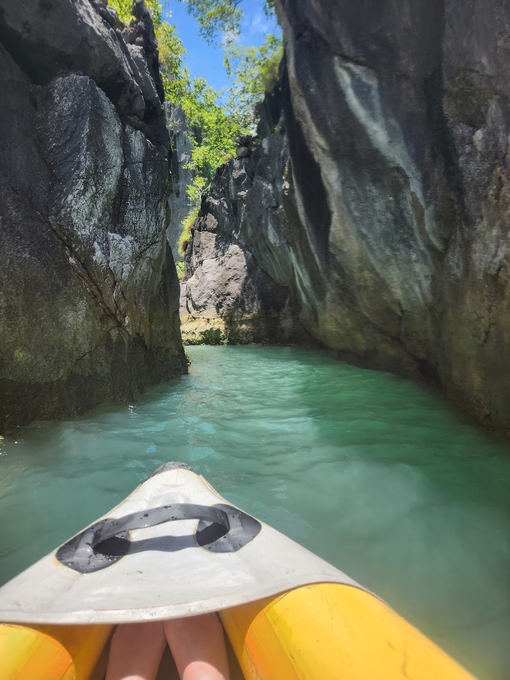 Amazing Canoeing Tours