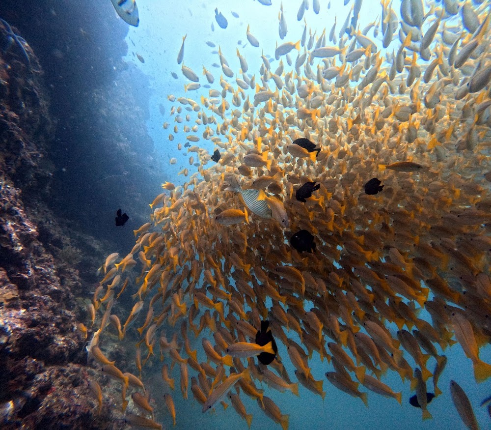 American Divers Phuket