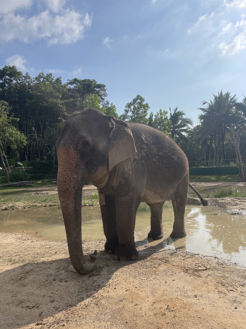 Aonang Elephant Sanctuary
