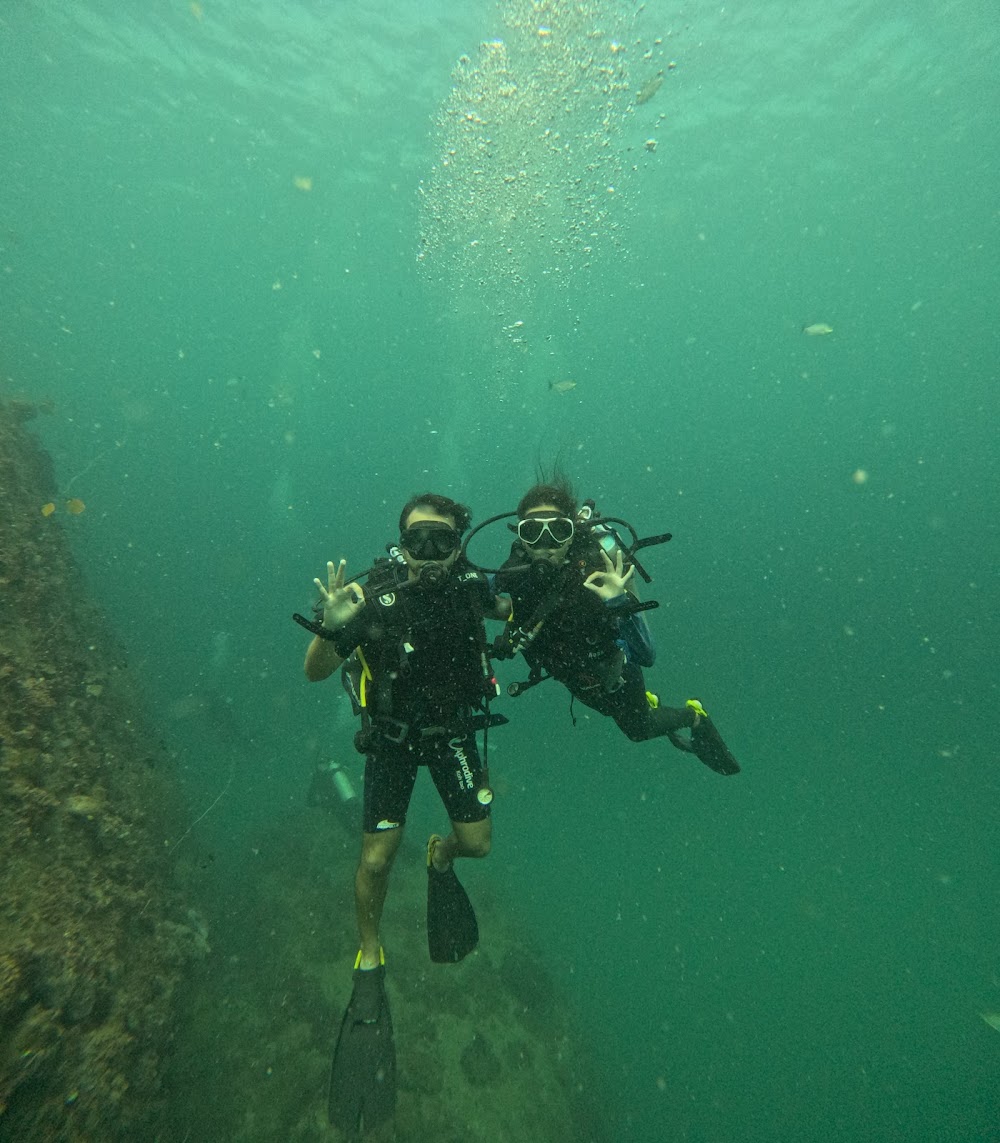 Aphrodive Koh Tao